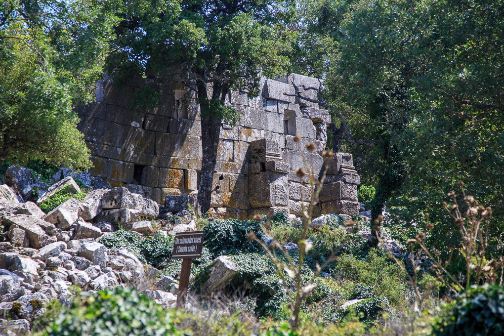 Termessos